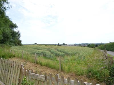 Picture 22